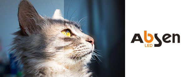 Полное руководство по коэффициенту контрастности. 