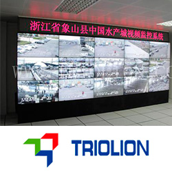 Видеостены Triolion помогли отрегулировать рынок торговли морскими продуктами 