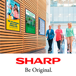 Новые бюджетные дисплеи PN-Y Sharp для общественных мест