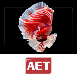 Обзор LED-экранов AET серий Koala II и NX на выставке Prointegration Tech- анонс