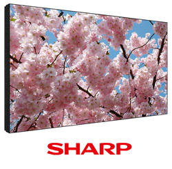 Sharp - новый бренд в Центре дистрибуции Хай-Тек Медиа