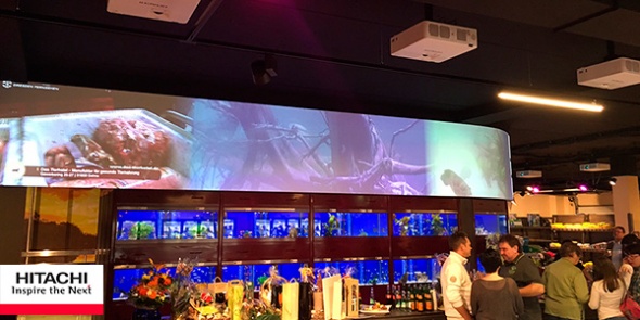 Магазин рыбок приобрел сразу 12 LED-проекторов Hitachi