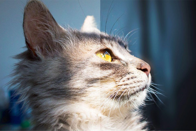 Влияние отражающей способности на коэффициент контрастности, фото-5