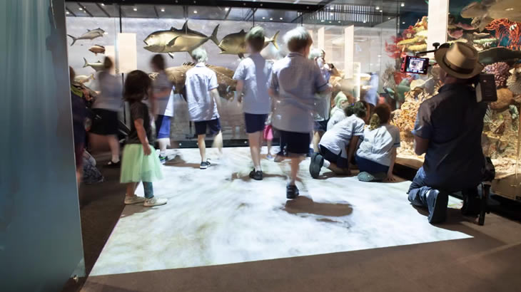 интерактивная часть, где вы найдете всех детей, потому что проектор Hitachi создает на полу крабов и эффект воды