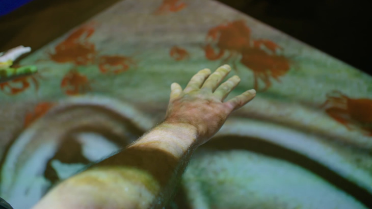 визуальное представление является самым популярным разделом галереи