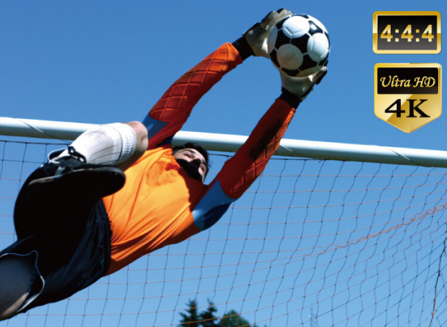 Lumens запускает продуктовую линейку AVoIP 4JK / 1080p 