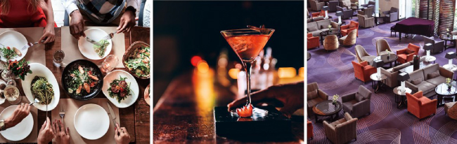 Yamaha VXC2F. Сферы применения