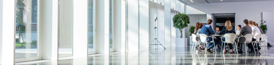 Disentis беспроводная конференц-система без помех