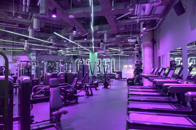 Аудиосистема EM Acoustics для «короля фитнес-клубов» в Дубае, фото-1