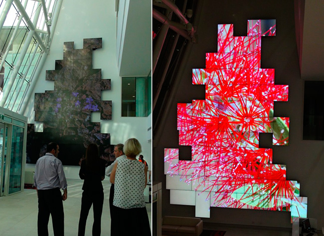 Крепления Euromet для самой высокой видеостены в Южном полушарии