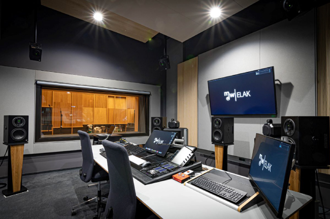 Dante Domain Manager — дирижёр шоу «Лаборатории искусств будущего» , фото-2