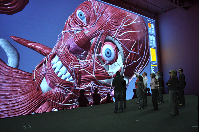 Лазерный проектор для музеев