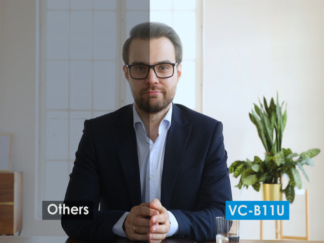 Lumens VC-B11U, цветоопределение