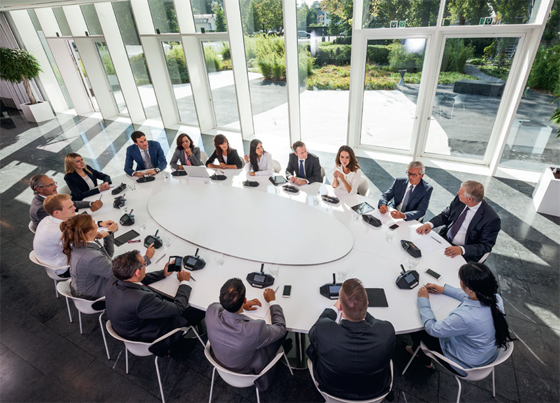 Disentis беспроводная конференц система