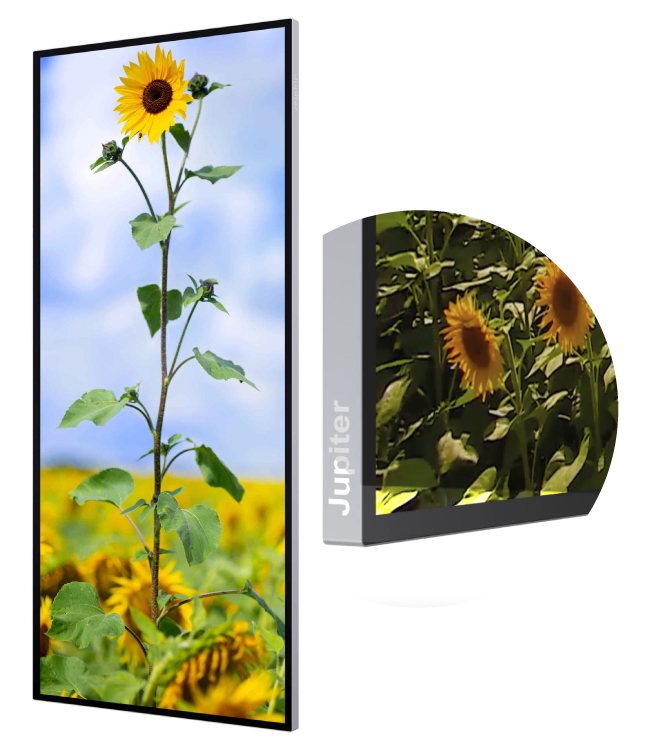 Jupiter PANA81T — на 33% больше поверхности экрана для совместной работы